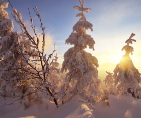 Winter landscape with A dawn in mountains Stock Photo 02