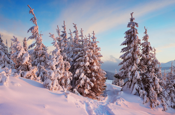 Winter landscape with A dawn in mountains Stock Photo 03