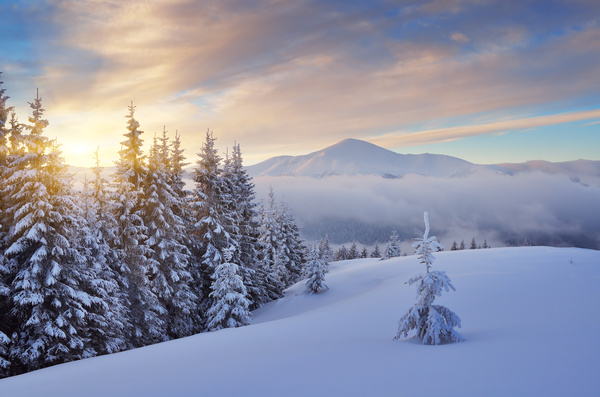 Winter landscape with A dawn in mountains Stock Photo 06