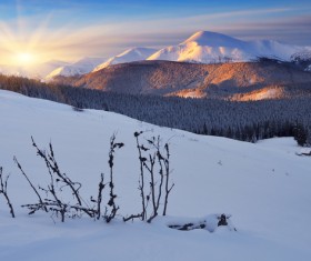 Winter landscape with A dawn in mountains Stock Photo 08