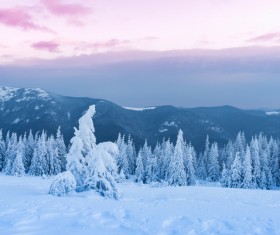 Winter landscape with A dawn in mountains Stock Photo 09