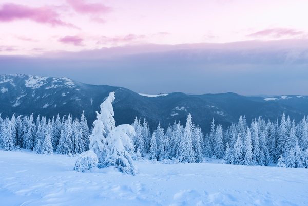 Winter landscape with A dawn in mountains Stock Photo 09