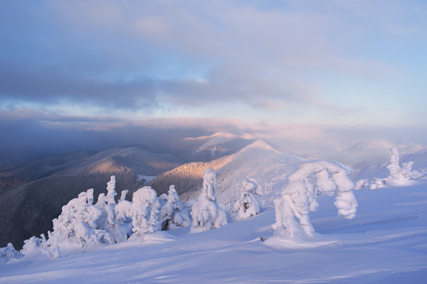 Winter landscape with A dawn in mountains Stock Photo 10