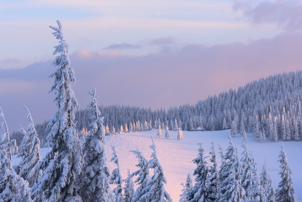 Winter landscape with A dawn in mountains Stock Photo 13