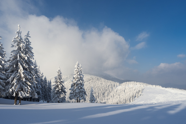 Winter landscape with A dawn in mountains Stock Photo 14