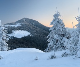 Winter landscape with A dawn in mountains Stock Photo 15