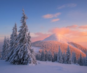 Winter landscape with A dawn in mountains Stock Photo 16