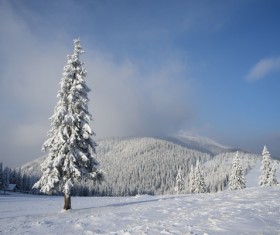 Winter landscape with A dawn in mountains Stock Photo 17