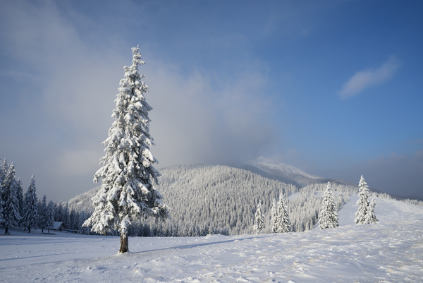 Winter landscape with A dawn in mountains Stock Photo 17