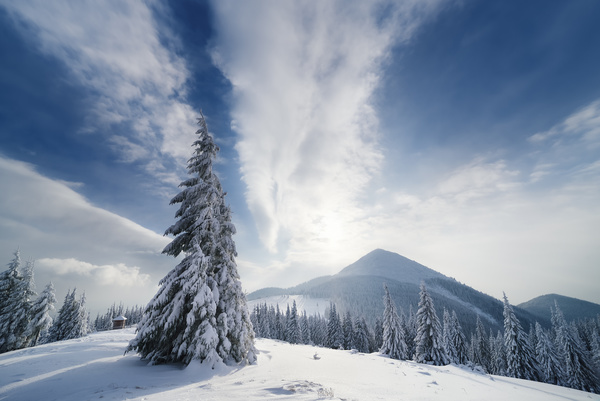 Winter landscape with A dawn in mountains Stock Photo 18