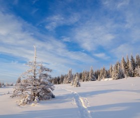 Winter landscape with A dawn in mountains Stock Photo 25