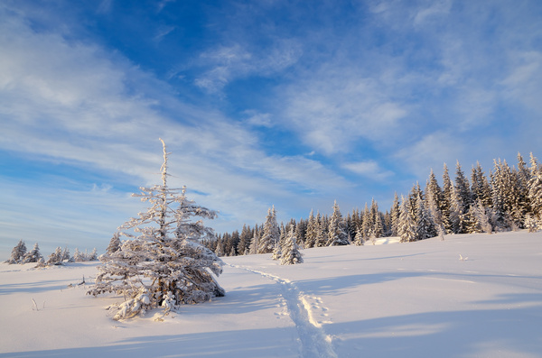 Winter landscape with A dawn in mountains Stock Photo 25