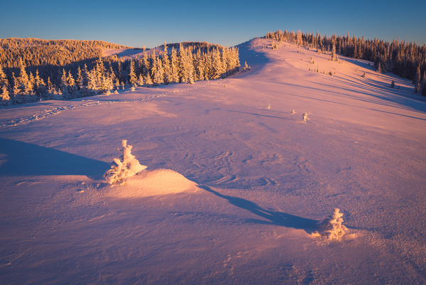 Winter landscape with A dawn in mountains Stock Photo 27