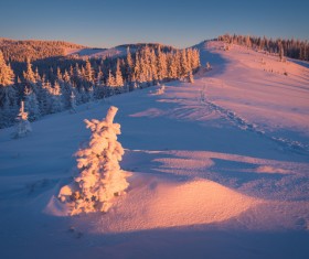 Winter landscape with A dawn in mountains Stock Photo 28