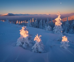 Winter landscape with A dawn in mountains Stock Photo29