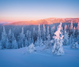 Winter landscape with A dawn in mountains Stock Photo 31