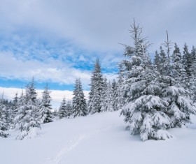 Winter landscape with A dawn in mountains Stock Photo 32