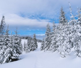 Winter landscape with A dawn in mountains Stock Photo 33
