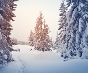 Winter landscape with A dawn in mountains Stock Photo 35