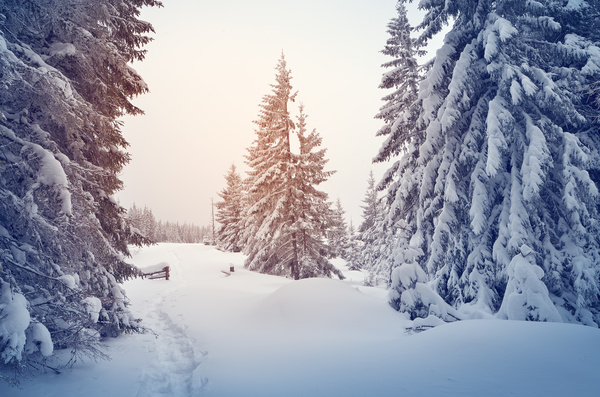 Winter landscape with A dawn in mountains Stock Photo 35