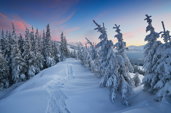 Winter landscape with A dawn in mountains Stock Photo 36