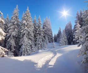 Winter landscape with A dawn in mountains Stock Photo 38