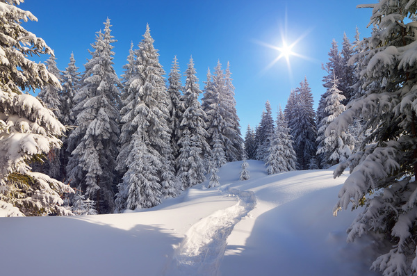 Winter landscape with A dawn in mountains Stock Photo 38