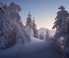Winter landscape with A dawn in mountains Stock Photo 40