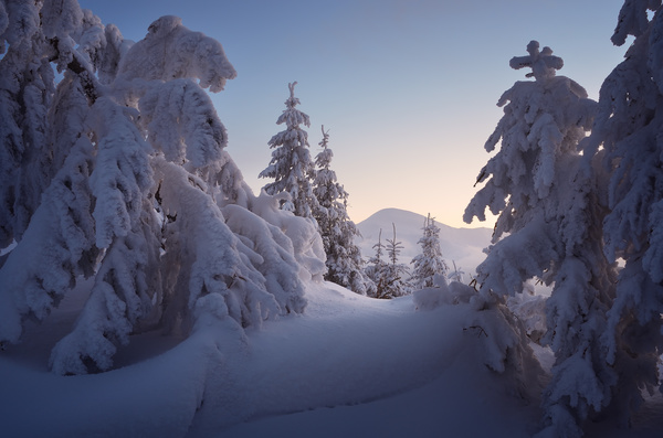 Winter landscape with A dawn in mountains Stock Photo 40