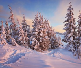 Winter landscape with A dawn in mountains Stock Photo 41