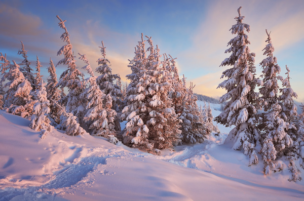 Winter landscape with A dawn in mountains Stock Photo 41