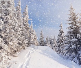 Winter landscape with A dawn in mountains Stock Photo 42