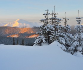Winter landscape with A dawn in mountains Stock Photo 43