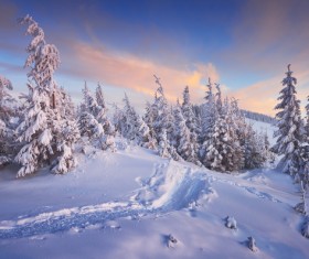 Winter landscape with A dawn in mountains Stock Photo 39