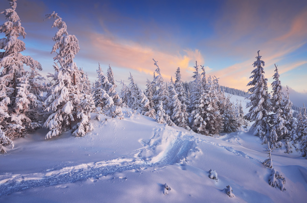 Winter landscape with A dawn in mountains Stock Photo 39