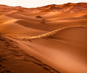 Yellow desert HD pictures