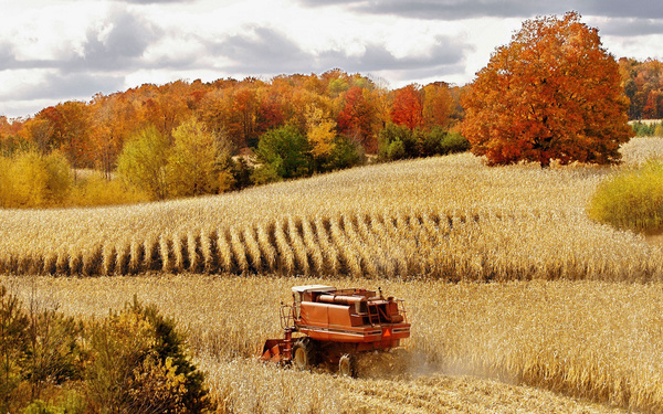 autumn harvest Stock Photo