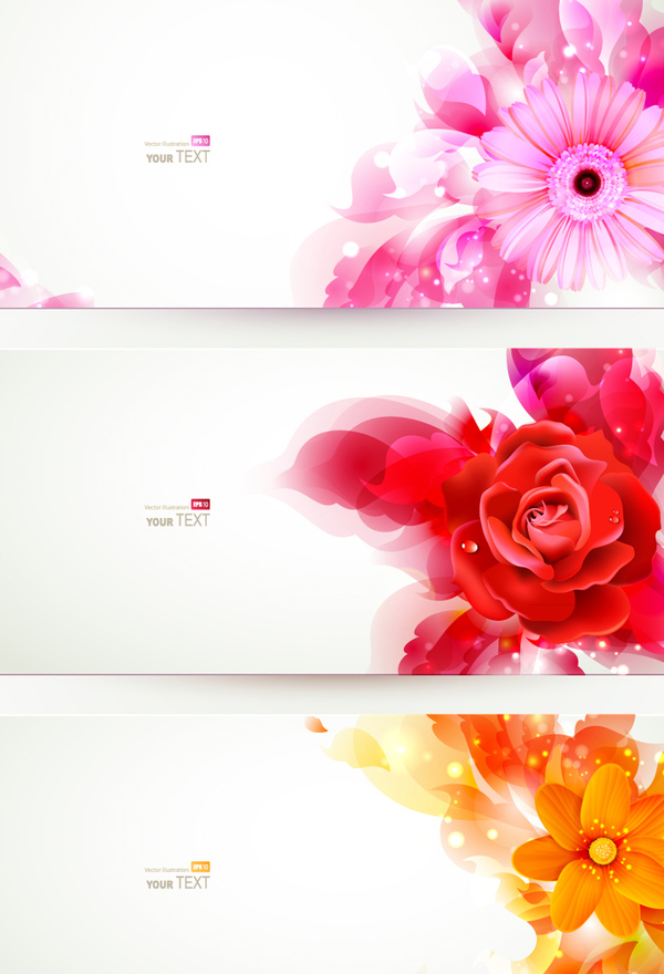 3 Kind flower banners vector material