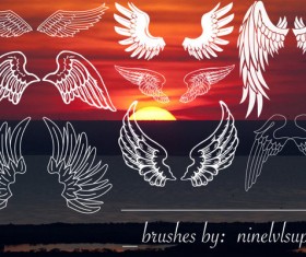 8 Wings photoshop brushes