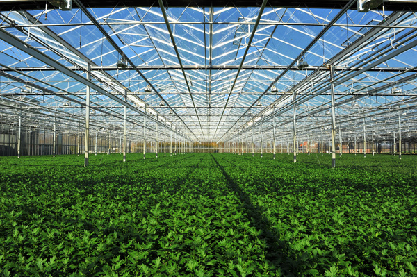 Agricultural greenhouses Stock Photo