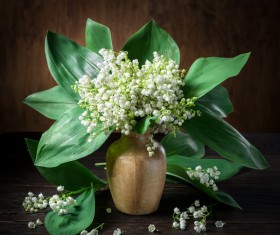 Beautiful bouquet of flowers and vases Stock Photo