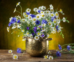 Beautiful flower with vase Stock Photo 01