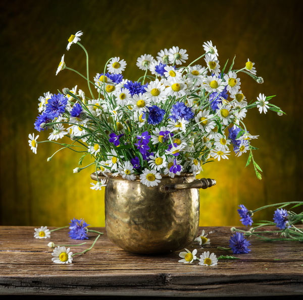 Beautiful flower with vase Stock Photo 01