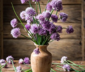 Beautiful flower with vase Stock Photo 02