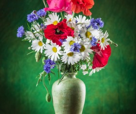 Beautiful flower with vase Stock Photo 03