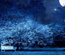 Beautiful night scenery Stock Photo