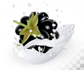 Blackberry with splash milk vector