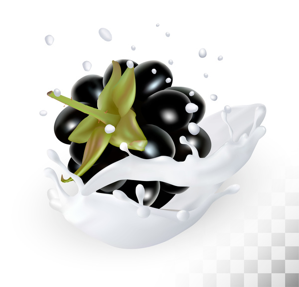 Blackberry with splash milk vector