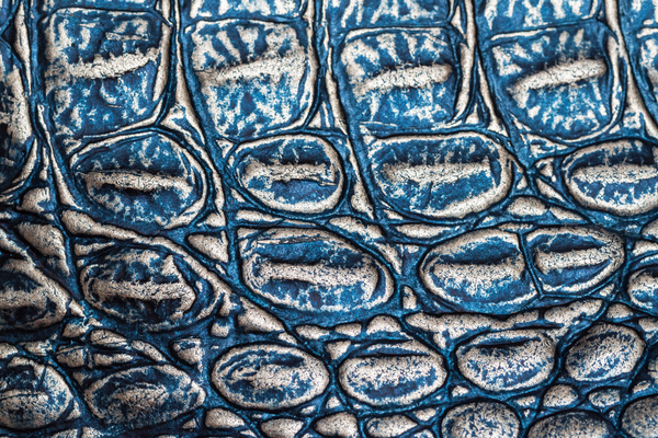 Blue leather texture Stock Photo