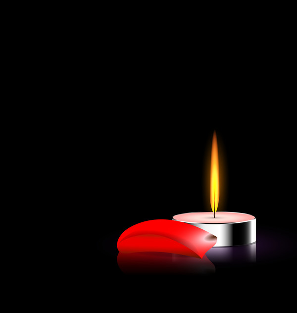 Candles light with red petal vector 02